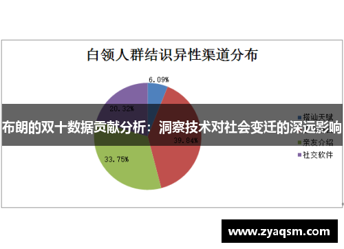 布朗的双十数据贡献分析：洞察技术对社会变迁的深远影响
