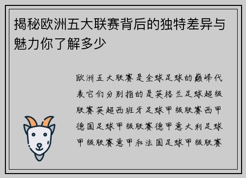 揭秘欧洲五大联赛背后的独特差异与魅力你了解多少